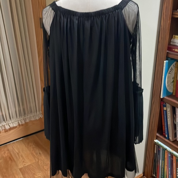 Bongo Black Mesh Embroidered Overlay Dress - Picture 6 of 11